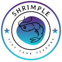 fulllogo transparent